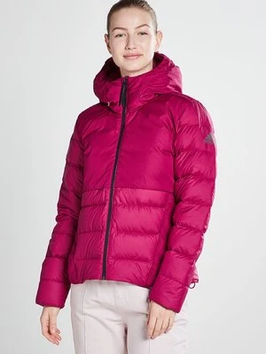 Kurtka zimowa adidas performance