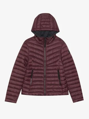 Kurtka zimowa Anna Field