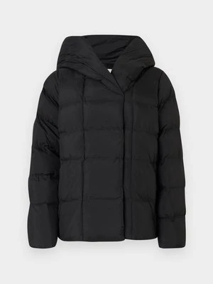 Kurtka zimowa Calvin Klein czarny