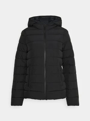 Kurtka zimowa Champion