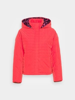 Kurtka zimowa Desigual