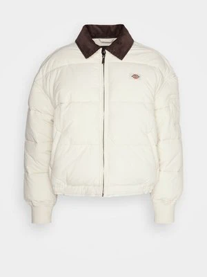 Kurtka zimowa Dickies
