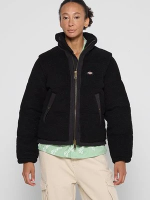 Kurtka zimowa Dickies