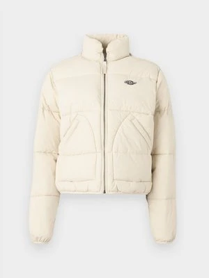 Kurtka zimowa Dickies