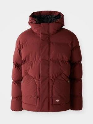 Kurtka zimowa Dickies