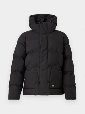 Kurtka zimowa Dickies czarny