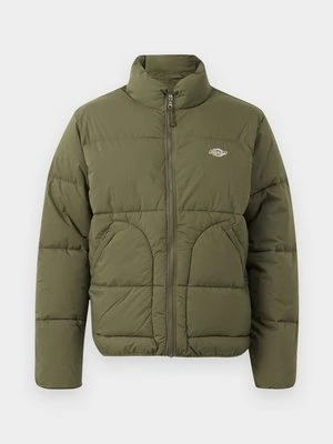 Kurtka zimowa Dickies oliwkowy