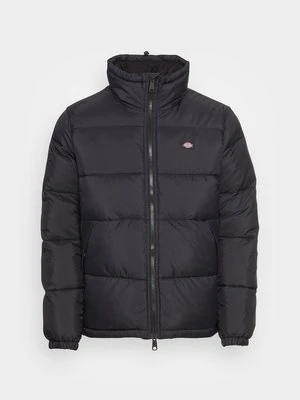 Kurtka zimowa Dickies czarny