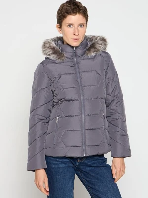 Kurtka zimowa Dorothy Perkins fioletowy