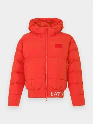 Kurtka zimowa EA7 Emporio Armani