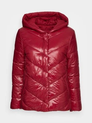 Kurtka zimowa edc by esprit