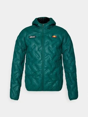 Kurtka zimowa Ellesse