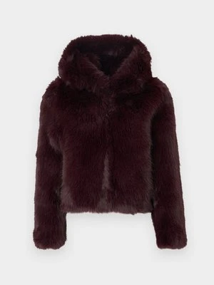 Kurtka zimowa Free People