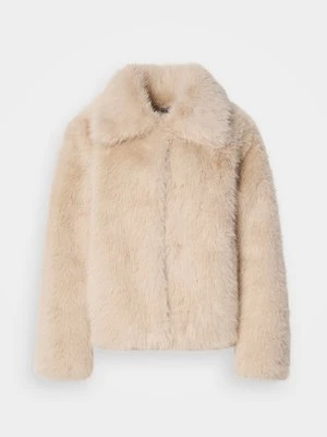 Kurtka zimowa Gina Tricot