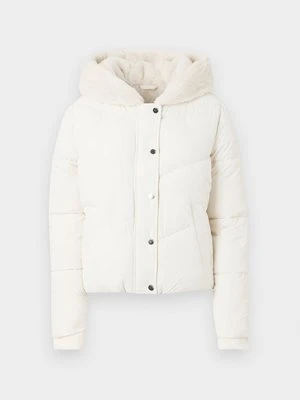 Kurtka zimowa Hollister Co.