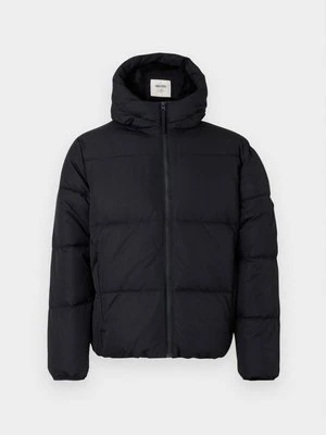 Kurtka zimowa Hollister Co.