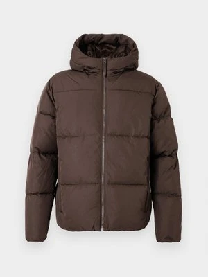 Kurtka zimowa Hollister Co.