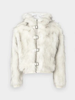 Kurtka zimowa Jaded London