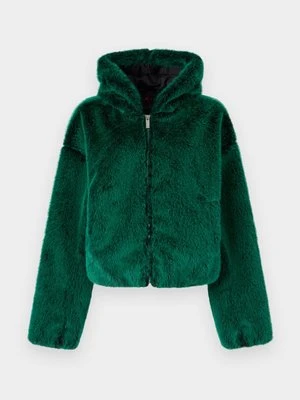 Kurtka zimowa Jordan