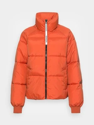 Kurtka zimowa Kangol