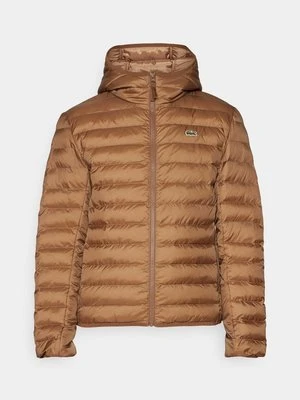 Kurtka zimowa Lacoste