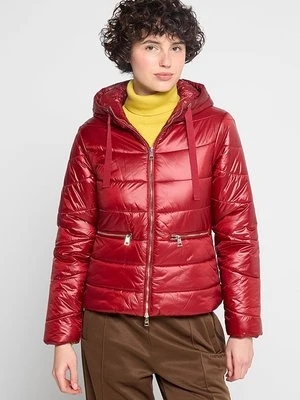 Kurtka zimowa LIU JO