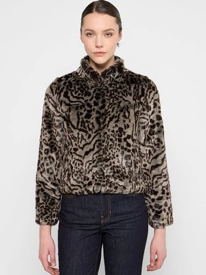 Kurtka zimowa Mascara