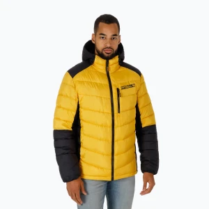 Kurtka zimowa męska Pitbull Evergold Hooded Padded yellow/black