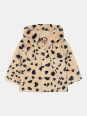 Zdjęcie produktu Kurtka zimowa Molo