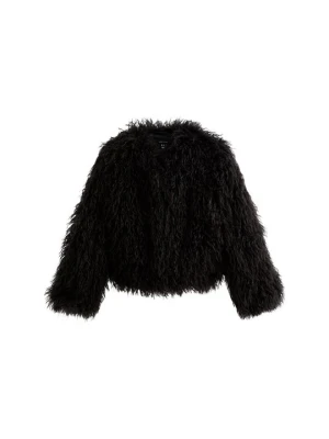 Kurtka zimowa New Look czarny