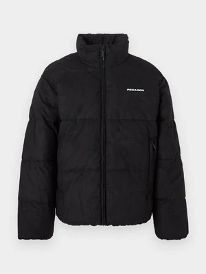 Kurtka zimowa Pegador