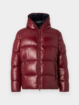 Kurtka zimowa Save the duck