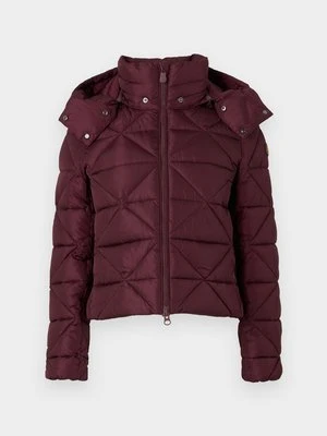 Kurtka zimowa Save the duck