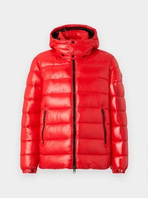 Kurtka zimowa Save the duck