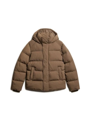 Kurtka zimowa Superdry brązowy