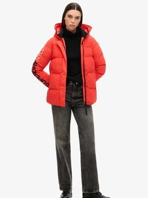 Kurtka zimowa Superdry & Co