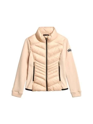 Kurtka zimowa Superdry & Co