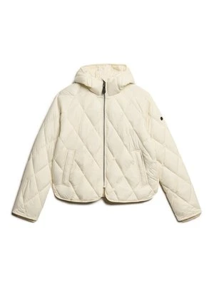 Kurtka zimowa Superdry & Co