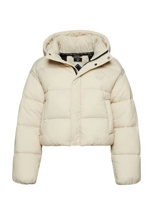 Kurtka zimowa Superdry jasnożółty