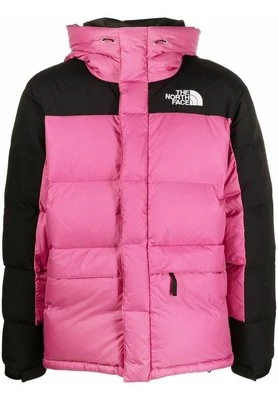 Kurtka zimowa The North Face