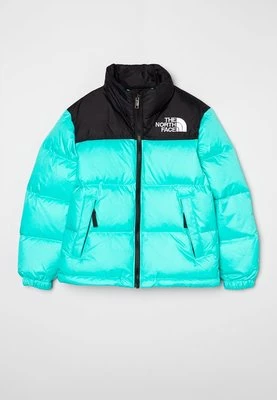 Kurtka zimowa The North Face