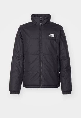 Kurtka zimowa The North Face