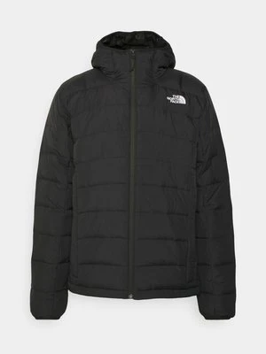 Kurtka zimowa The North Face