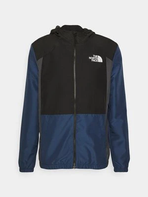 Kurtka zimowa The North Face