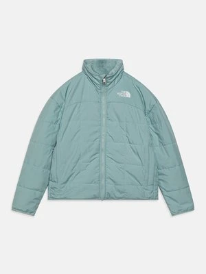 Kurtka zimowa The North Face