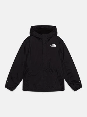 Kurtka zimowa The North Face