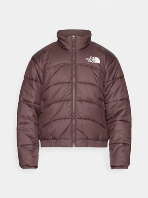 Kurtka zimowa The North Face