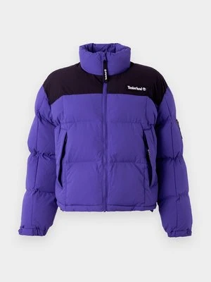 Kurtka zimowa Timberland