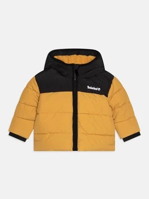 Kurtka zimowa Timberland