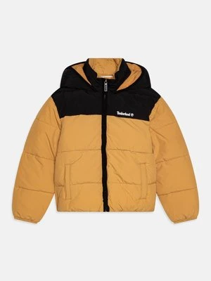 Kurtka zimowa Timberland